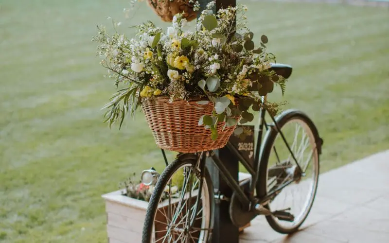 Bicycle Blooms